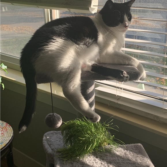 Meet the posher! - Picture 7 of 10